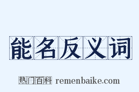 能名反义词是什么意思的图片